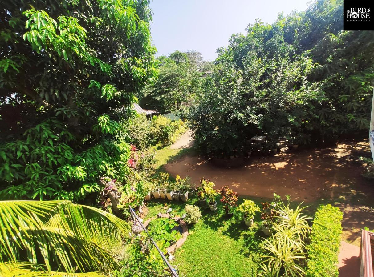 טנגלה Bird House Homestays מראה חיצוני תמונה